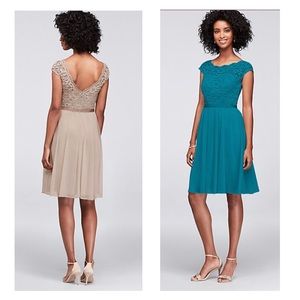 oasis colored dresses